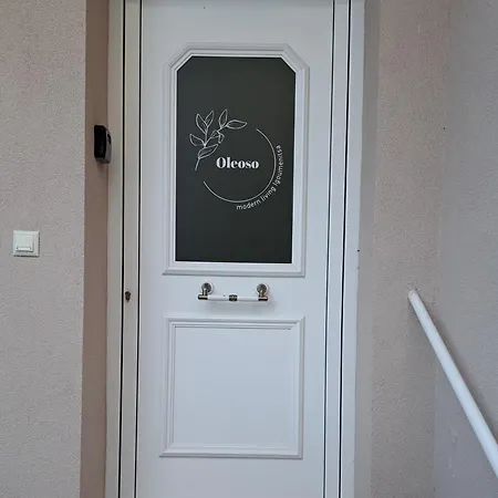 Oleoso Apartment Igoumenitsa Exterior photo